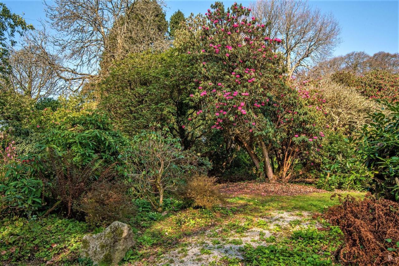 Bosvathick Cottage Constantine Zewnętrze zdjęcie