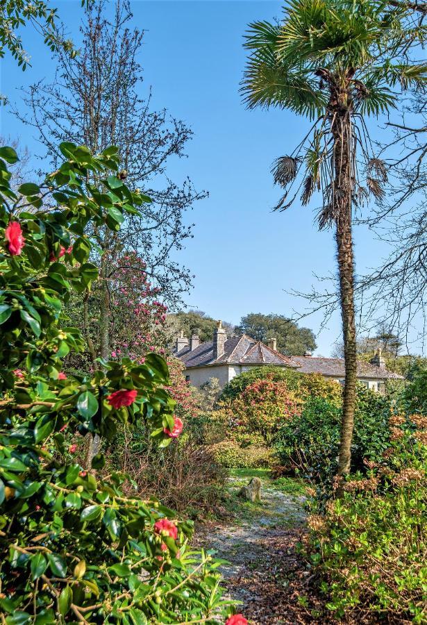 Bosvathick Cottage Constantine Zewnętrze zdjęcie